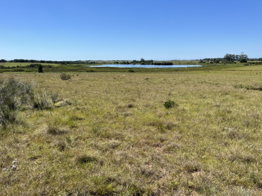 Commercial Property for Sale in Bathurst Rural Eastern Cape